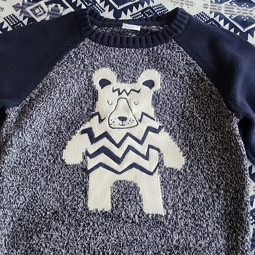 GAP Kids Little Boys Sweaters Lot of Two (2)